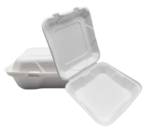 8'' Gabhdáin Bia Bagasse To Go