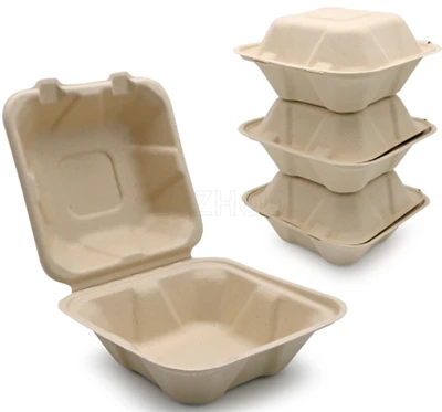 Gabhdáin Bia Bagasse Le Téigh