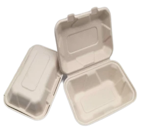 Gabhdáin Indiúscartha Bagasse