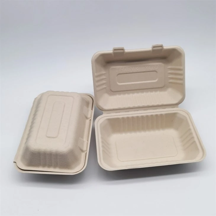 Gabhdáin Bia In-bhith-dhíghrádaithe Tóg Amach Sugarcane Bagasse