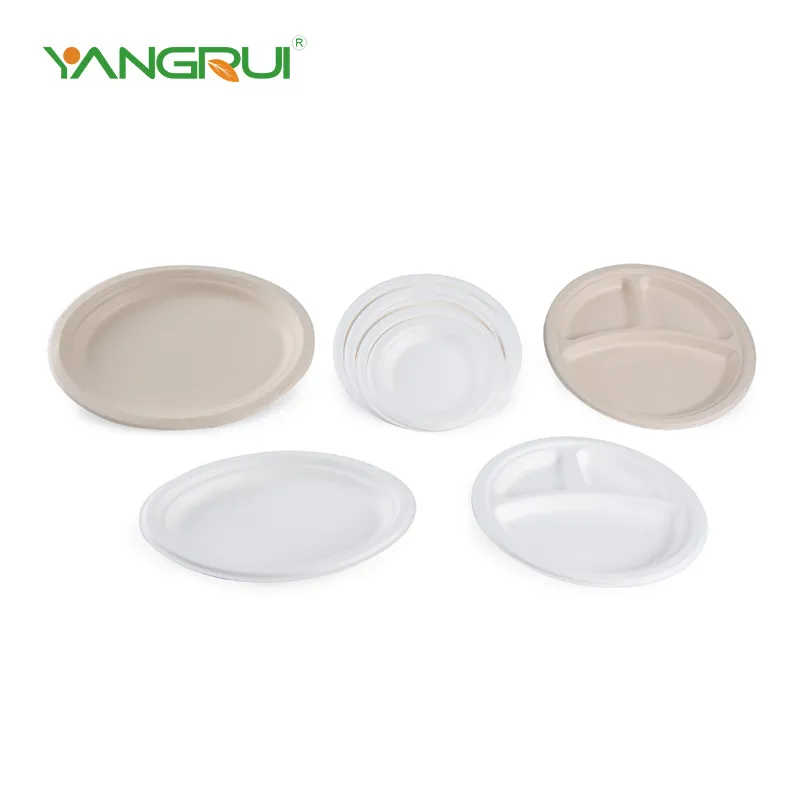 Pláta cruinn bagasse